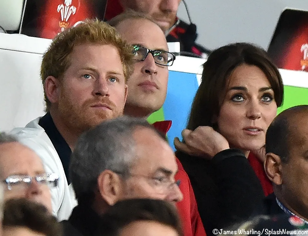 Harry William Kate Middleton Watch Rugby