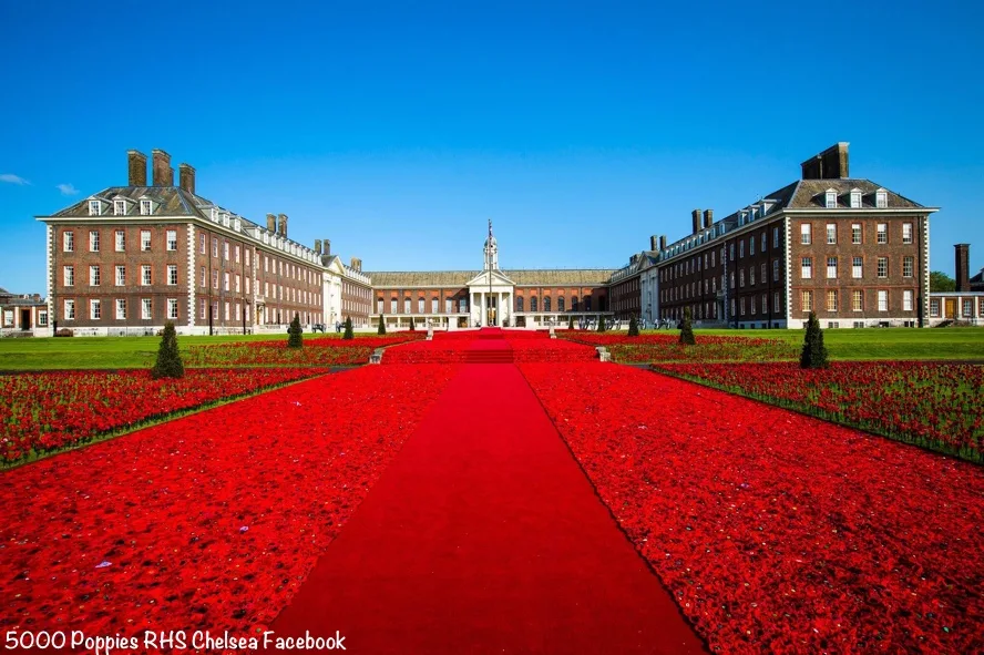 5000 Poppies RHS Chelsea Flower Show Facebook
