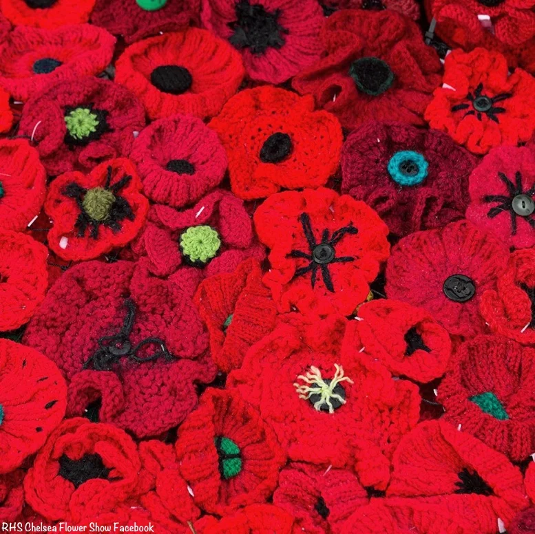 RHS Chelsea Facebook