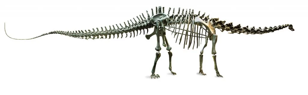 Natutral History Museum