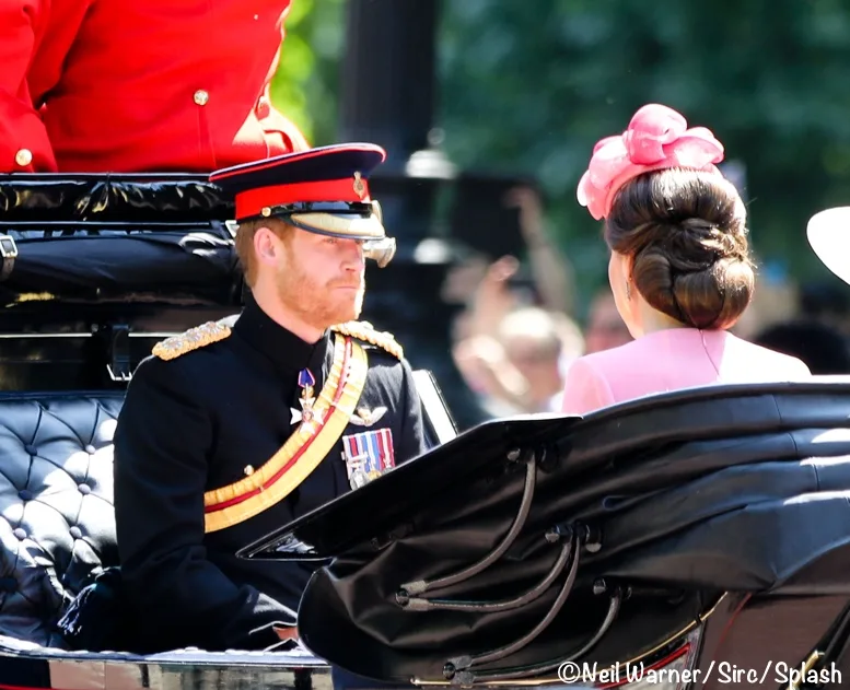 ©Neil Warner /Sirc / Splash News