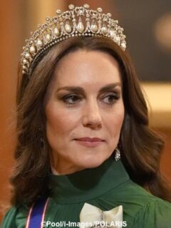 The Princess Wears Andrew Gn Gown & Lover's Knot Tiara for Nigeria State Dinner